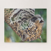 Schöner Jaguar im Wilden Puzzle (Horizontal)