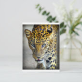 Schöner Jaguar Postkarte (Stehend Vorderseite)