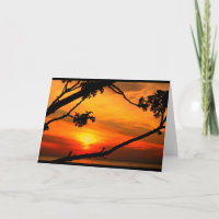 Schöner Jahrestag von Sonnenaufgang bis Sonnenunte