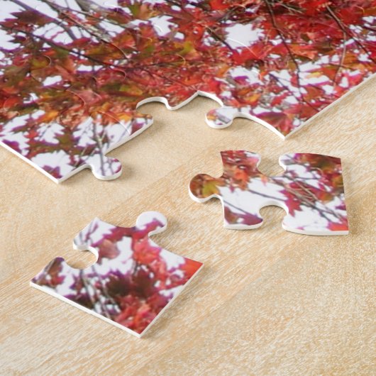 Schöner japanischer Rockgarten mit Pagoda Puzzle (Seite)