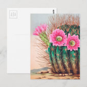 schöner Kaktus Postkarte (Vorne/Hinten)