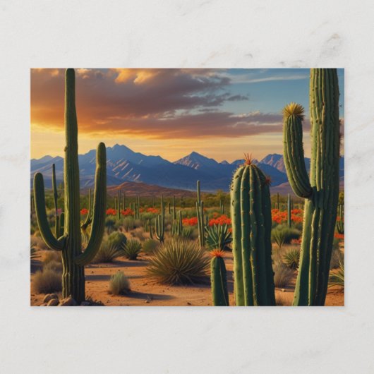 Schöner Kaktus Wüste Postkarte (Vorderseite)