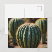 Schöner Kaktus Wüste Postkarte (Vorne/Hinten)