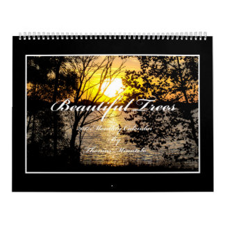 Schöner Kalender der Baum-2017 durch Thomas