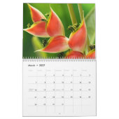 Schöner Kalender der tropischen Blume (Mär 2027)