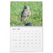 Schöner Kalender der Vogel-2016 (Mär 2027)