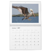 Schöner Kalender der Vogel-2016 (Jan 2027)