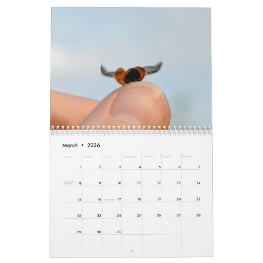 Schöner Kalender der Wanzen-2016 (Mär 2026)