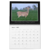 Schöner Kalender Ohios 2017 durch Thomas Minutolo (Mär 2027)