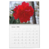 Schöner Kamelienkalender Kalender (Jan 2026)