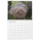 Schöner Kamelienkalender Kalender (Mär 2027)