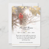 Schöner Kardinal 12x18 Beileid Danke Karte (Rückseite)