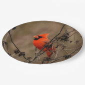 Schöner Kardinal im Norden Pappteller (Schrägansicht)