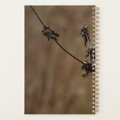 Schöner Kardinal im Norden Planer (Rückseite)