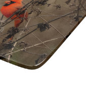 Schöner Kardinal im Norden Schneidebrett (Ecke)