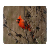 Schöner Kardinal im Norden Schneidebrett (Vorderseite)
