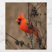 Schöner Kardinal im Norden Weinetikett (Einzelnes Label)
