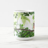 Schöner Kardinal in der Crêpe Myrte, Kaffeetasse (Mittel)