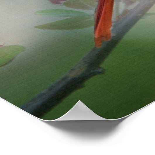 Schöner Kardinal Poster (Ecke)