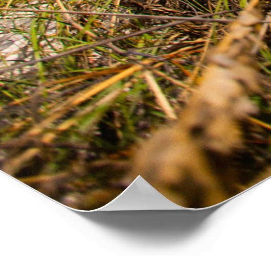 Schöner karibischer Strand Poster (Ecke)