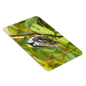 Schöner Kastanienholz auf einer Zweigstelle Magnet (Rechte Seite)