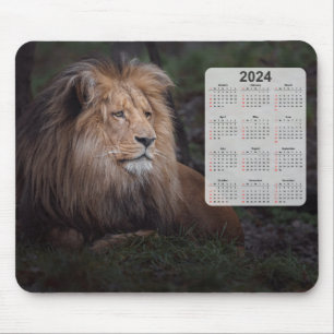 Schöner Katanga Lion 2024 Kalender Mousepad