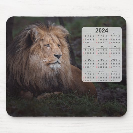 Schöner Katanga Lion 2024 Kalender Mousepad (Vorne)