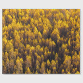 SCHÖNER KIEFERWALD GESCHENKPAPIER (Flach)