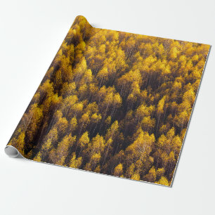 SCHÖNER KIEFERWALD GESCHENKPAPIER