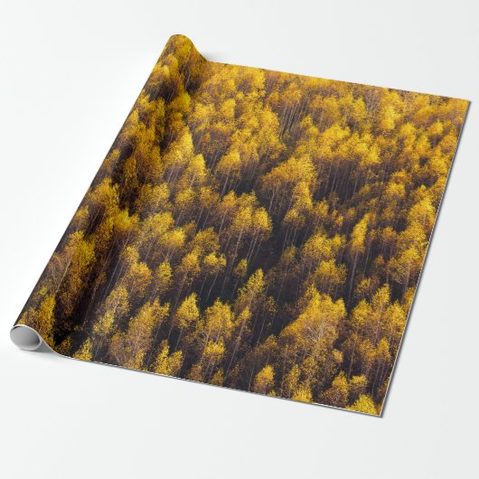 SCHÖNER KIEFERWALD GESCHENKPAPIER (Ungerollt)