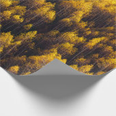 SCHÖNER KIEFERWALD GESCHENKPAPIER (Ecke)