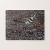 Schöner Killdeer am Strand Puzzle (Horizontal)