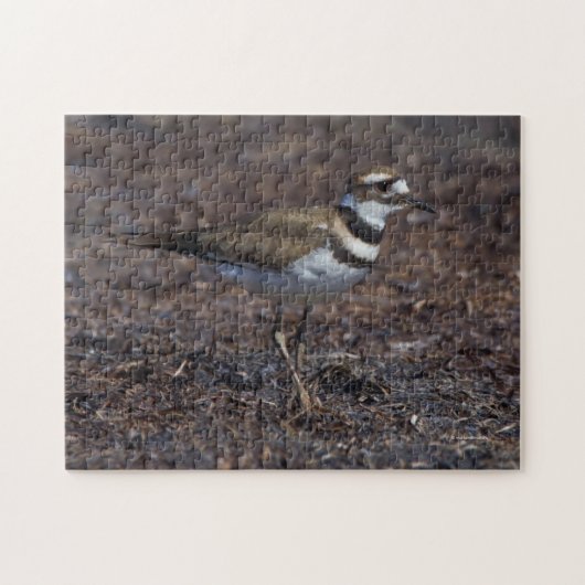 Schöner Killdeer am Strand Puzzle (Horizontal)