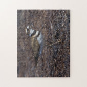 Schöner Killdeer am Strand Puzzle (Vertikal)