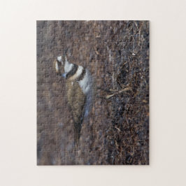 Schöner Killdeer am Strand Puzzle