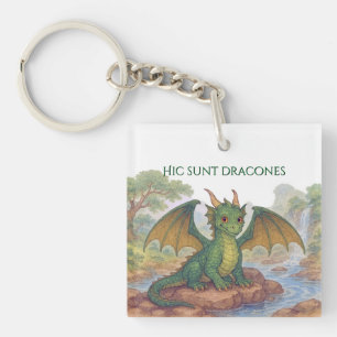 Schöner kleiner grüner Drache Schlüsselanhänger