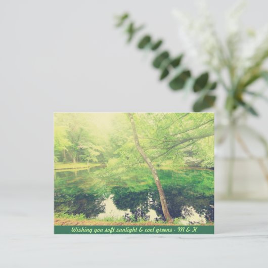 Schöner kleiner Teich Grün Blätter Sonnenlicht Postkarte (Stehend Vorderseite)