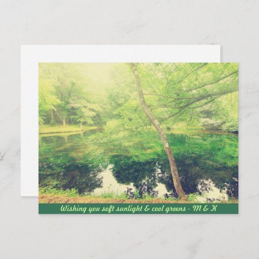 Schöner kleiner Teich Grün Blätter Sonnenlicht Postkarte (Vorne/Hinten)