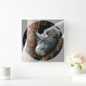 Schöner Koala-Bär im Garten Quadratische Wanduhr (Zuhause)