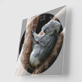 Schöner Koala-Bär im Garten Quadratische Wanduhr (Winkel)