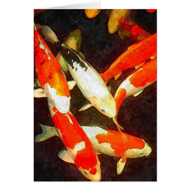 Schöner Koi-Fisch in einem Teich (Vorne)