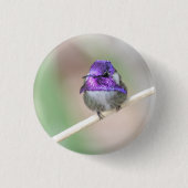 Schöner Kolibri Button (Vorderseite)