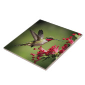 Schöner Kolibri Fliese (Seite)