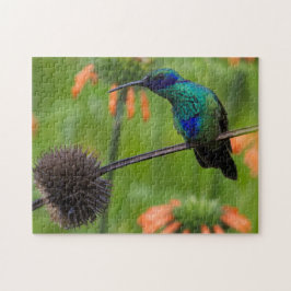 Schöner Kolibri Puzzle