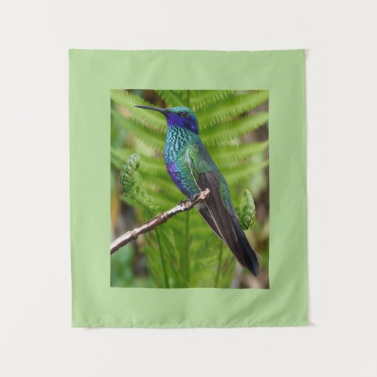 Schöner Kolibri Wandteppich (Vorderseite)