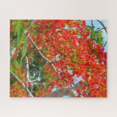 Schöner königlicher Poinciana Baum-Puzzle Puzzle (Horizontal)