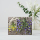 schöner Kräuterhintergrund Postkarte (Stehend Vorderseite)