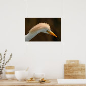 Schöner Kuhreiher-Vogel Poster (Küche)