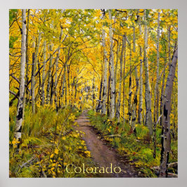 Schöner Landschaftlicher Herbstweg in Aspen Tree G Poster