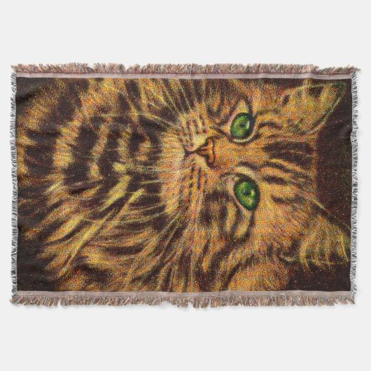 schöner, langhaariger Katzenaufdruck Decke (Vorderseite)